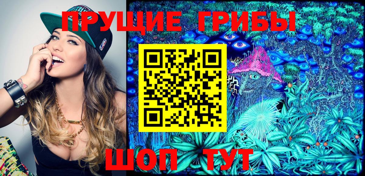 Галлюциногенные грибы Magic Shrooms  Галлюциногенные грибы Cubensis  Вход с VPN  Дятьково 